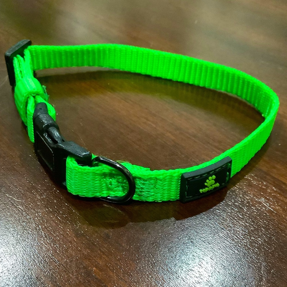 🔥Doggie Collar